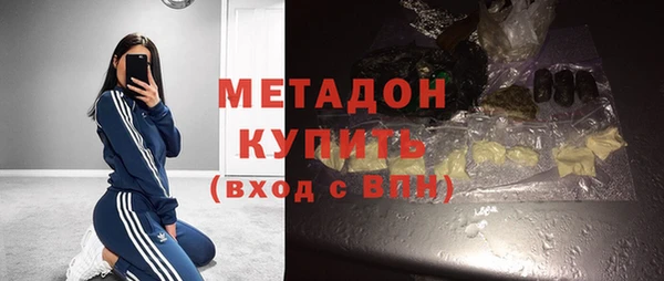 индика Корсаков