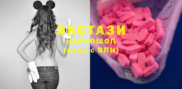 индика Корсаков