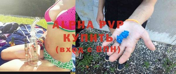 индика Корсаков