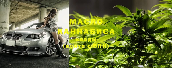 индика Корсаков