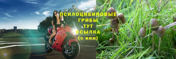 амф Краснотурьинск