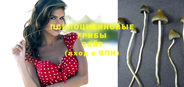 марки nbome Пересвет